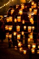 20121110_ZAT_072-CL-V1