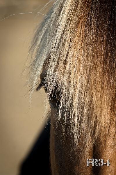 20120719_Clotilde_413-CL-V1.jpg - Prince