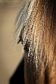 20120719_Clotilde_413-CL-V1